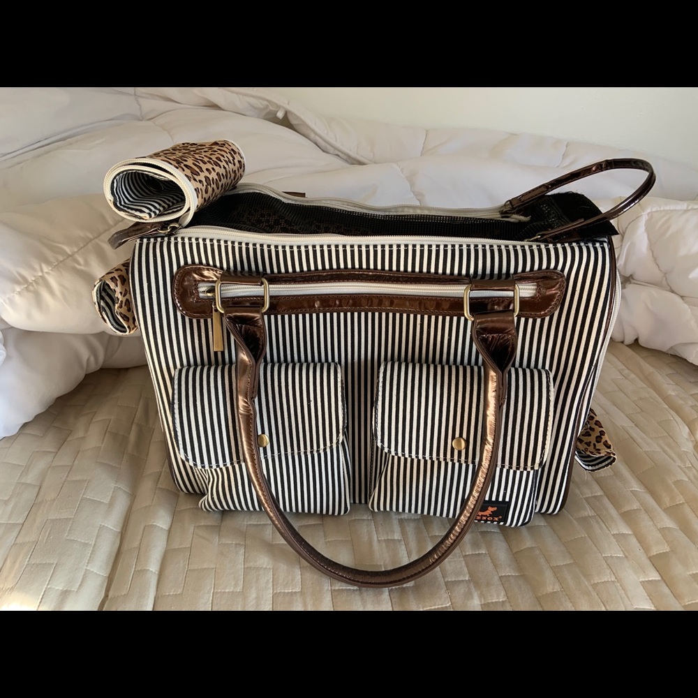 Pet bag carrier